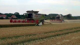 Claas Lexion 600 Terra-Trac & Lexion 570 Terra-Trac