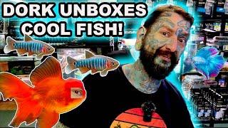 A DORK UNBOXES AQUARIUM FISH!