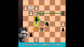 Vlastimil Hort vs Mikhail Tal 1966 | Mikhail Tal Best Games