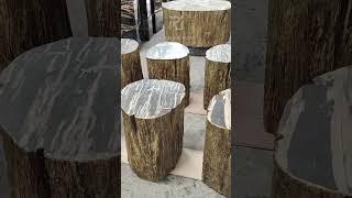 GIANT PETRIFIED WOOD COFFEE TABLE