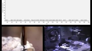 Flow Probe Demo