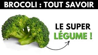 Brocoli : ses dangers et bienfaits pour la santé - Dr Santé