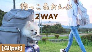 【Giipet】小型犬移動用バッグを徹底的に使ってみた結果