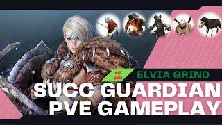 BDO| Guardian Succession PVE gameplay in Elvia Server | Black Desert Online