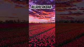 Surah Al Kahf Urdu Translation ️ Quran Urdu Translation #quranictranslation #quran
