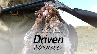 DRIVEN GROUSE PT. 1