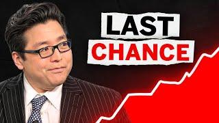 Tom Lee’s Best 8 Stocks to BUY NOW in Nov 2024 (High Growth Stocks) 