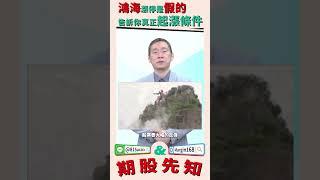鴻海漲停是假的，告訴你真正起漲條件 #條件 #鴻海 #大林哥 #股期先知 #理周TV #林宏杰 #理財周刊