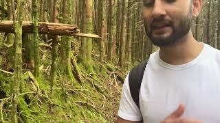 Nepali vlog Smoky Mountain Tennessee | Hiking | Forest Exploring @NepalivlogUSA