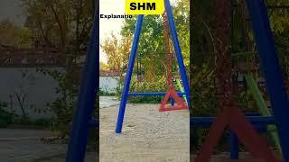Common Misconceptions in Physics and their Corrections with Explanation-Simple Harmonic Motion 05