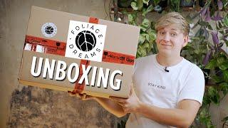 Warum das NICHT mein letztes Pflanzen Unboxing von Foliage Dreams sein wird  | Plant Haul