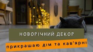 НОВОРІЧНИЙ ДЕКОР БУДИНКУ | ПРИКРАШАЮ КАВʼЯРНІ | МІНЯЮ ЗИМОВУ ГУМУ В АВТО