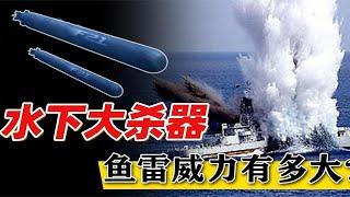 一发鱼雷就可将军舰崩成两截，而导弹却做不到，鱼雷威力这么大？