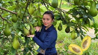 FULL VIDEO: 60 days of harvesting bananas, guava, avocado, eggplant to go to the market to sell