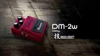 BOSS DM-2W Delay Sound Preview