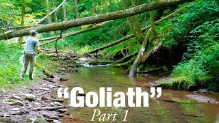 I Found a Creek FULL of BIG Brook Trout! (GOLIATH pt. 1)