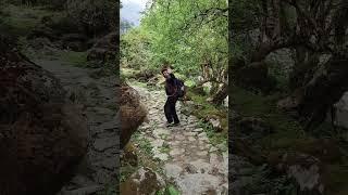 Langtang#Nature#Explore with Ankit#Beauty of Nepal