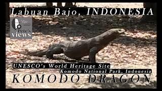 Komodo National Park - Labuan Bajo INDONESIA