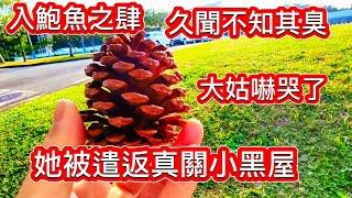 “她”被韓國遣返後真被關小黑屋瘋傳陸配被”迫害“真的嚇哭大姑了每個人都要為自己行為買單 別以為豆腐掉到灰堆裏 拍不得吹不得
