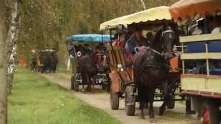 Hubertusjagd im Haupt  und Landgestüt Neustadt Dosse 2014