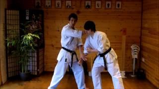 Kata Bunkai Video Tutorial 07 - Wanshu (Empi) Kata