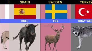 National Animals From Different Countries  l Animals Animal list