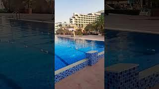 Olympic Pool & Lap Pool in Dant Al Ain Resort