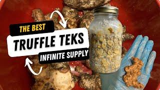  How To Make Infinite Truffles: The Best Truffle TEKs (Edible Mycology with Sage!) 