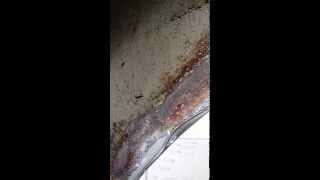 F250 inner fender rust on rear wheel well