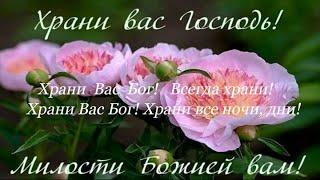 🪗 «Храни  Вас  Бог!»  Новая Христианская песня.