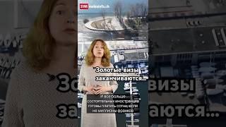 Отказ от ВНЖ для богатых, запрет ХАМАС и вино: вот что нового в Швейцарии #швейцария #новости