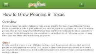 Where To Plant Peony In Texas
