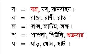 বাংলা ভাষা রিডিং পড়া, Bengali language reading, বানান শিক্ষা, Learning অ আ ই ঈ উ ঊ ঋ এ ঐ ও ঔ