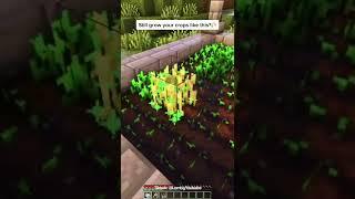 Minecraft: INSTANT Crop Farm | #shorts