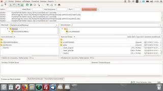 Tuto 3: Installer Wordpress. Transfert par FTP