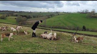 The Ledbury Hunt 4 Feb 2022