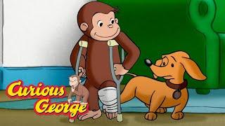 George Breaks His Leg! __ Curious George __ Kids Cartoon __ Kids Movies __Videos for Kids