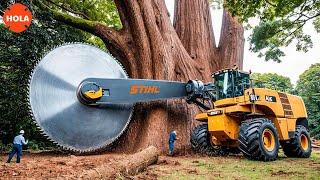 50 Extreme Dangerous Fastest Big Chainsaw Cutting Tree Machines | Agriculture Technology