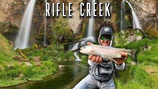 Fishing Rifle Creek for Trout: A Journey Through western Colorado!