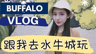 【水牛城Vlog】尼亚加拉大瀑布 | 长周末去哪玩 | Trader Joe's买什么 | 布法罗旅游 | Buffalo Wings | Niagara Falls | Travel With Me