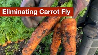 Eliminating Carrot Fly