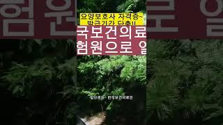 요양보호사 자격증발급기간 단축!!#shorts