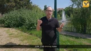 רווח נקי: מה זה ולמה הוא לא תמיד משקף את המצב האמיתי של העסק? בני וזנה, יועץ אסטרטגי עסקי כלכלן בכיר