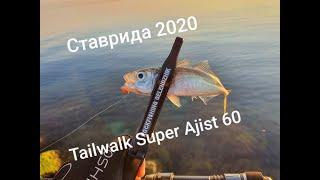 Ставрида 2020 с Tailwalk Super Ajist 60/STT Horse mackerel 2020 together Tailwalk Super Ajist 60/STT