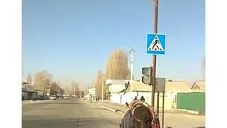 Күлкүлү тамашалар