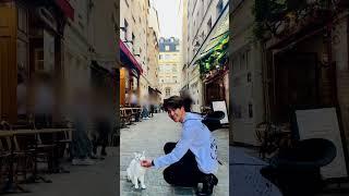 my serendipity #bts #jimin #capcut #edit #shorts #serendipity