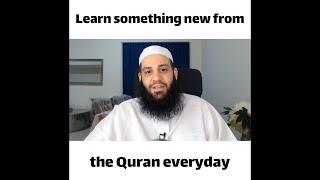 Learn something new from the Quran everyday | Abu Bakr Zoud