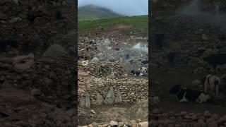 Life in mountains is so hard