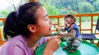 Baby monkey Mimi learns to eat rice with a spoon -Mimi is affectionate with her mother