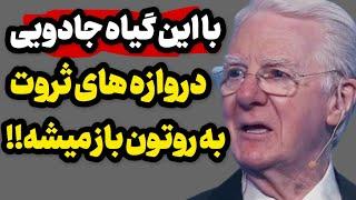 این گیاه ثروت و برکت به خونت میاره!